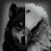 ali_editz_26