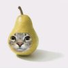 acosa.tomboysv
