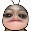 chokdee_cat55