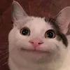 beluga_smile