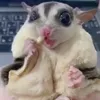 soffffchk