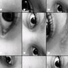 njull_73