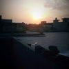 malik.shb960