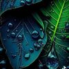 omar.tarek407