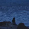 sasaqy_
