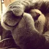 axwwq0