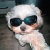 sammyiscool83