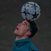 علاوي هولندي