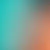 nt_e26