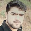 amir.shoail183