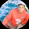 user8031303109678
