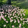 emxinh198_ne