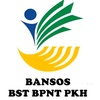 bansos.id2025