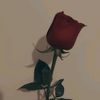 araaa_21.07