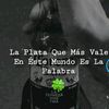 stwart_trebol