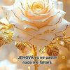 wwwarnold_78