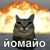 divanchik6668