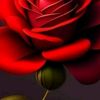 user35219902300355