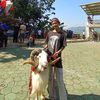 nengaliaa.hpdki