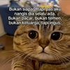 fitrianimlt03