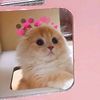 chaa.lovely12