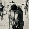 _auroryyy_