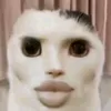 theweirdome0