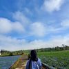 fira.fatrian