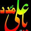 asad.gull.rr