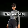dig.exd_malv1n