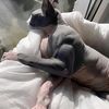 chill_guy723
