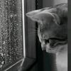 nyxxzz_4