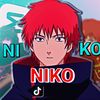niko2009amm