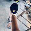 mawar_putih014