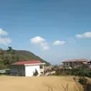 linh.phi.l