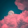 mypinkclouds