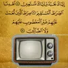 user74528190877955