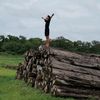 aye.thein.htun