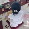 chonggiucuanhuquynh