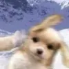 b.u.khng.bun
