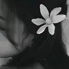 tul1ps.0