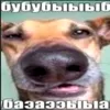pvgorhxlyid