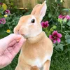 mapletherex