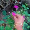 .ammukutty0