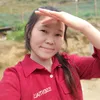 hmoob.toj.siab452