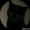 mrcatmanxp