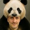 panda83kyiv