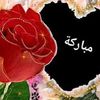 user56934742023508