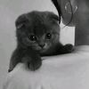 btw__soni___hun__ywr321