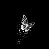 casha_______